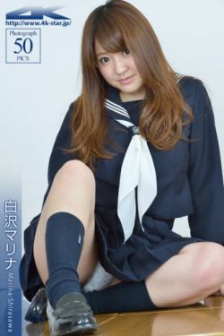 车震门