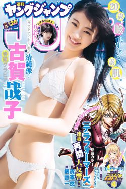 也平凡 电视剧