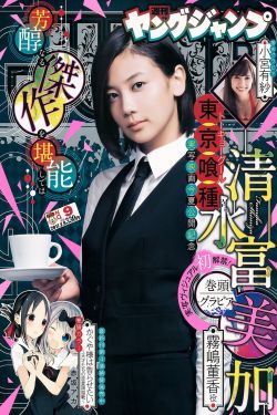隐入尘烟剧情介绍