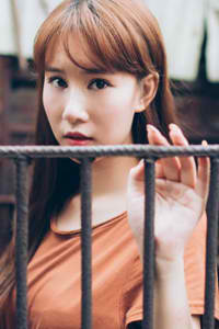 和离 九鹭非香